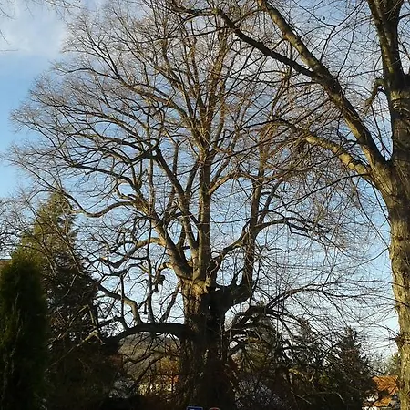 Ferienwohnung Zur Stollenlinde